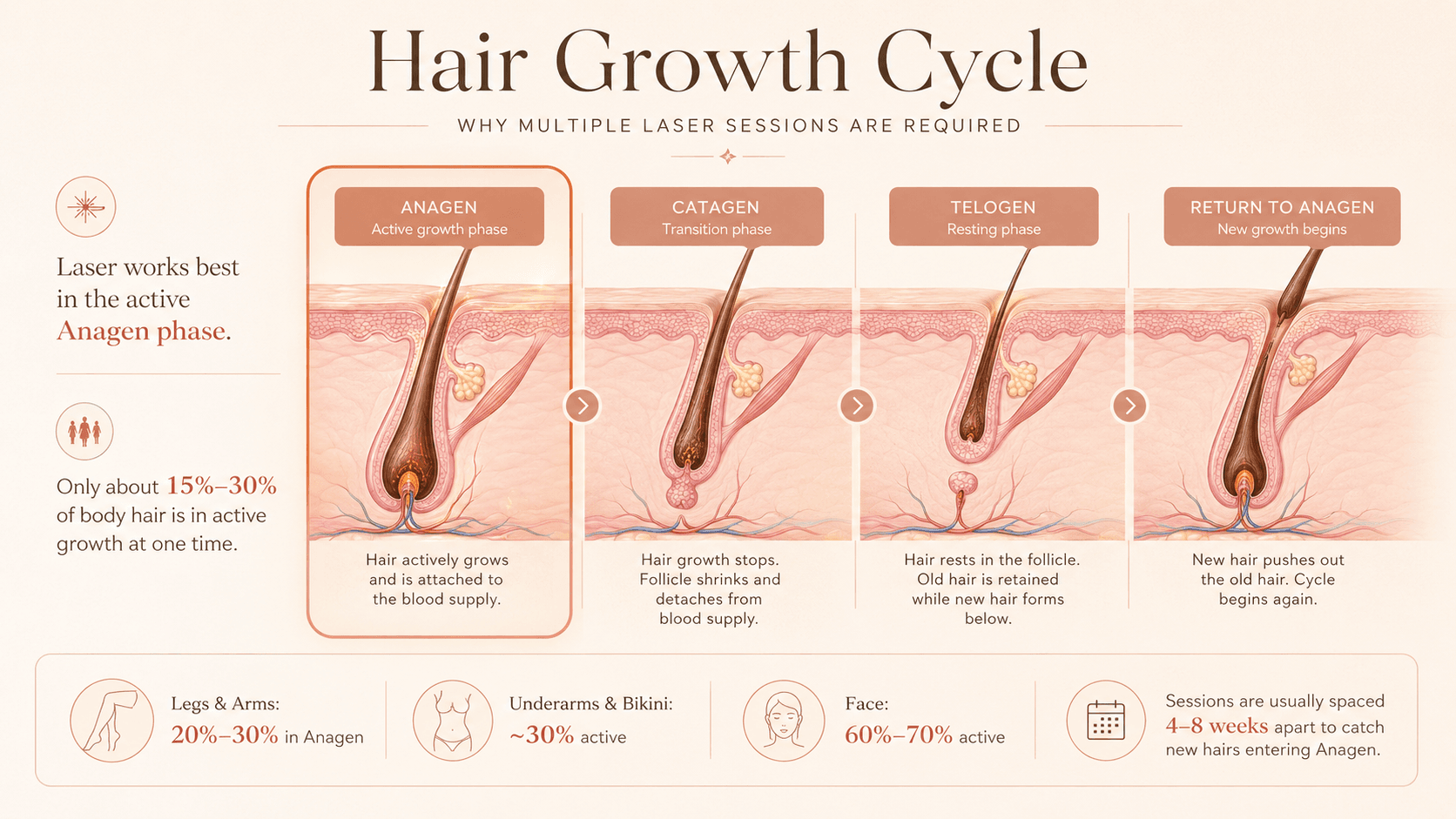 hair-growth-cycle-anagen-catagen-telogen-laser-treatment.png
